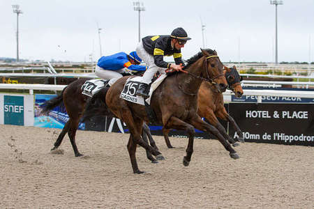 Actualités Hippiques